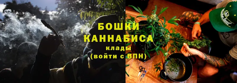 Конопля THC 21%  наркотики  Жердевка 